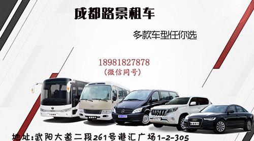 路景租車(chē)展示圖